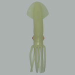 9” squid