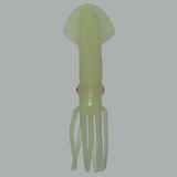 9” squid
